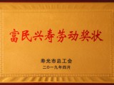 华亿网页版被授予“寿光市富民兴寿劳动奖状”荣誉称号